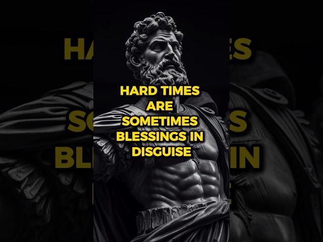 Hard Time Are Somethimes Blessing In Disguise #viral #stoic #stoicism #motivation #shorts