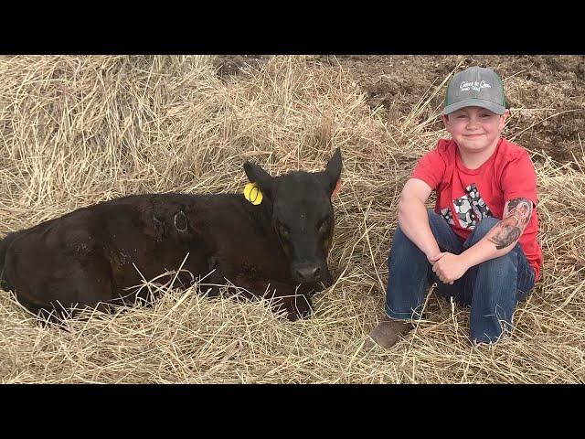 Cattle Sale with a Cause: Supporting Duchenne Research