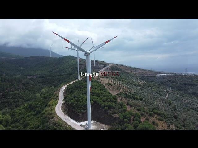 Rüzgar gülleri I wind rose 4K