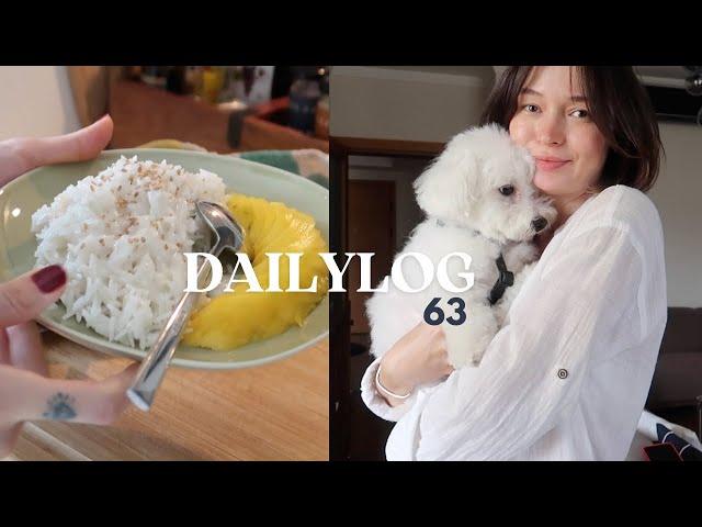 dailylog#63  |  mango sticky rice, saçlarımı kestirdim