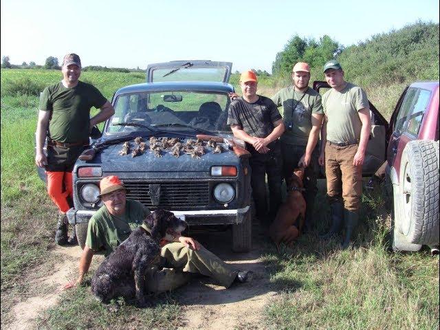 Охотничье хозяйство Сербии (охота на перепела)