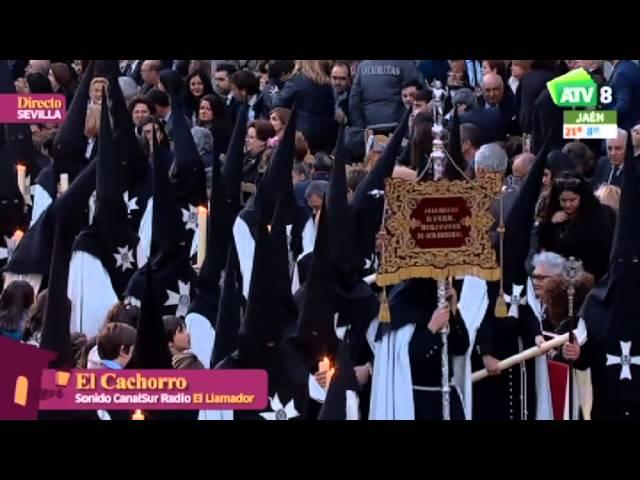 Semana Santa 2016 | Viernes Santo: El Cachorro en Campana (Sevilla)