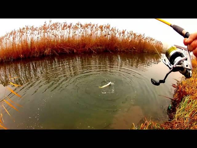 Small stream Pike fishing GoPro HD