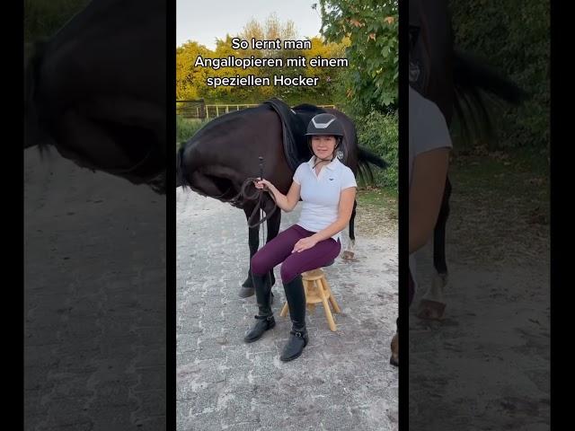 Tutorial Angaloppieren  #pony #equestrian #pferd #tutorial #galopp