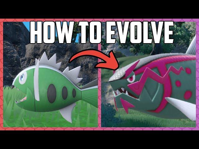 How to Get Basculegion - Pokémon Scarlet & Violet (DLC)