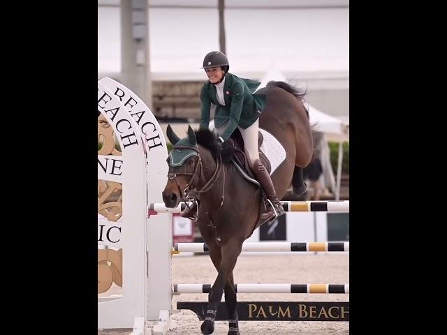 Show Jumping ️ #equestrian #horseriding #horses #trending #horsejumping #showjumping