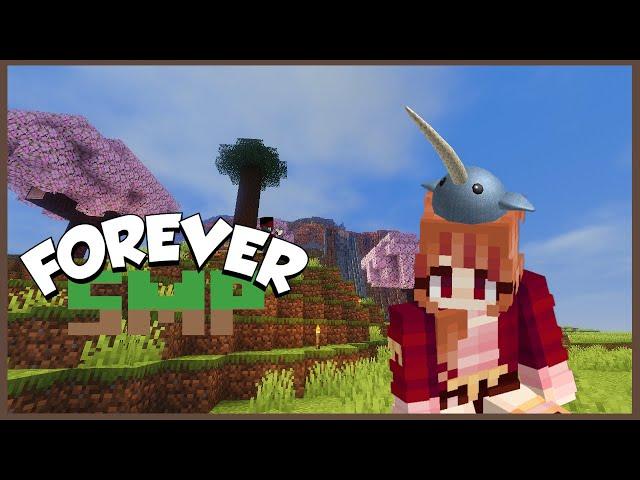 Forever Stuck with a Narwhal Hat | Forever SMP