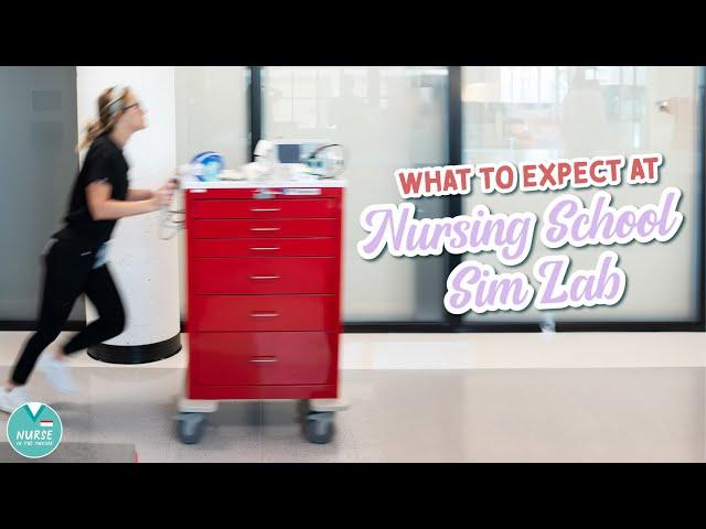 Nursing School Simulation Lab » What to expect » Mannequins » SIM Lab
