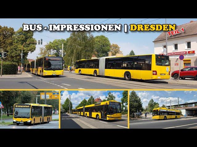 Bus Impressionen Dresden | Teil 1