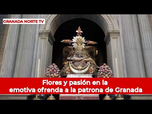 Emotiva Ofrenda Floral a la Patrona de Granada: Tradición y Pasión