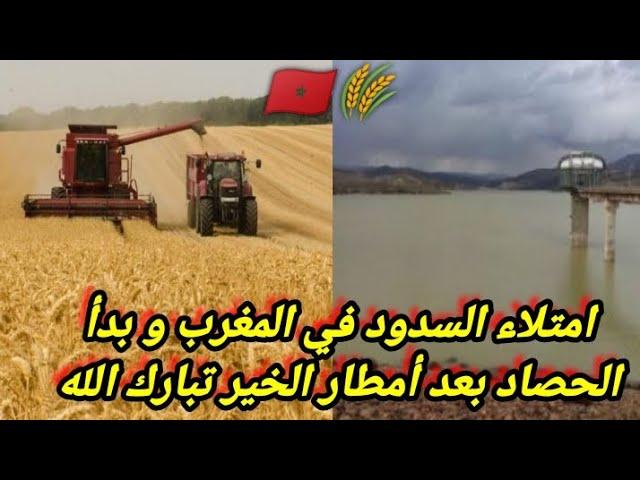 امتلاء السدود في المغرب و بدأ عملية الحصاد بعدة مناطق من المملكة المغربية ، نتائج أمطار الخير