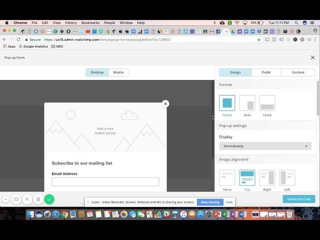  HOW TO BUILD A FORM Using MAILCHIMP  | BizHack Demos - Digital Marketing Training