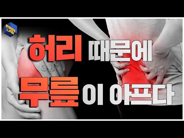 '허리'때문에 '무릎'이 아프다 - 페인랩이 말하는 통증이야기