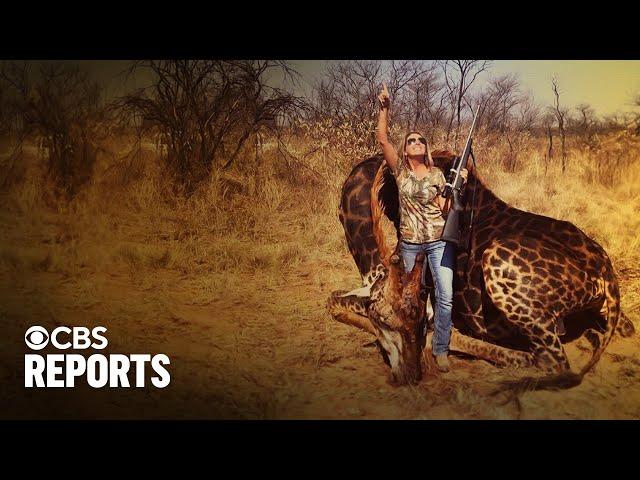 Trophy hunting: Killing or conservation? | Full Documentary