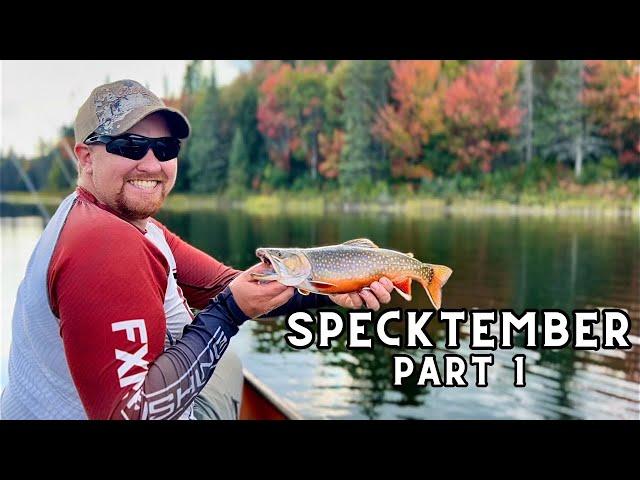 Fall in Algonquin | A Weekend Adventure Chasing Trout | Brook Trout Fishing