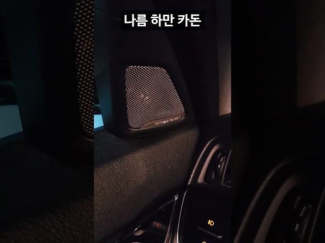 그래도 520d는 개꿀이라고 생각한다.