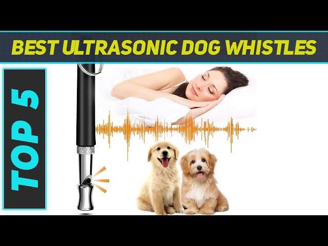 5 Best Ultrasonic Dog Whistles in 2023