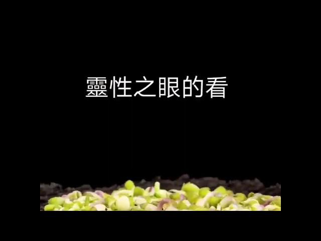 靈性之眼的看