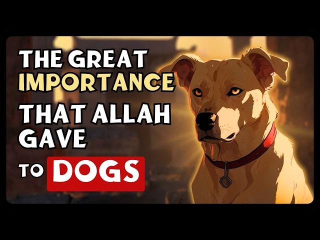 The SURPRISING Role of DOGS in Islam? | Umma Islam