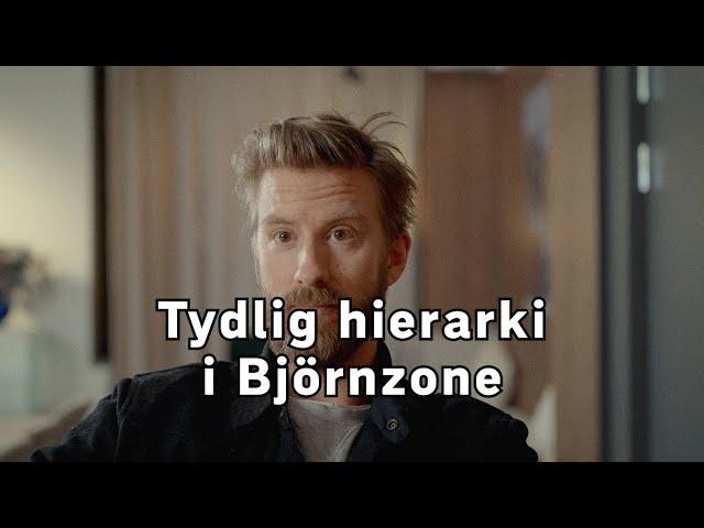 Tydlig hierarki i Björnzone