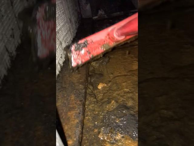 FCU || how sludge accumulated in Drain pan with out maintenance #accleaning #hvacservice #ofwksa
