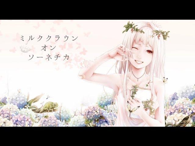 ミルククラウン・オン・ソーネチカ／そらる×まふまふ【歌ってみた】