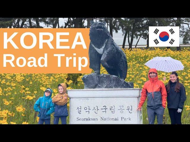 KOREA 속초 & 설악산  Road Trip  SOKCHO & SEORAKSAN National Park | Family World Travel Korea Vlog 2024