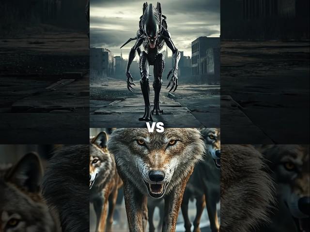 Xenomorph alien vs Wolf vs Gaint Creatures (Godzilla, Wendigo, Gosht rider, hell boy, Predator)