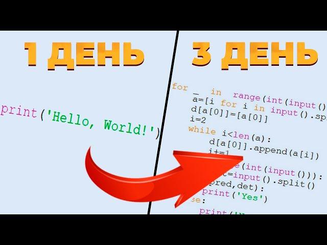 Как Выучить Python За 3 Дня