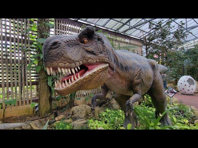 【2023沖繩Day2-1】名護鳳梨園，裡面有恐龍！(媞4Y5M9D、喬2Y11M9D)