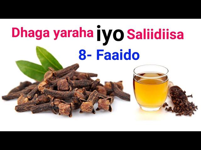 dhaga yaraha iyo saliidiisa 8-faaido oo laga helo hadii aa sidaan u isticmaasho cajiib Masha allaah