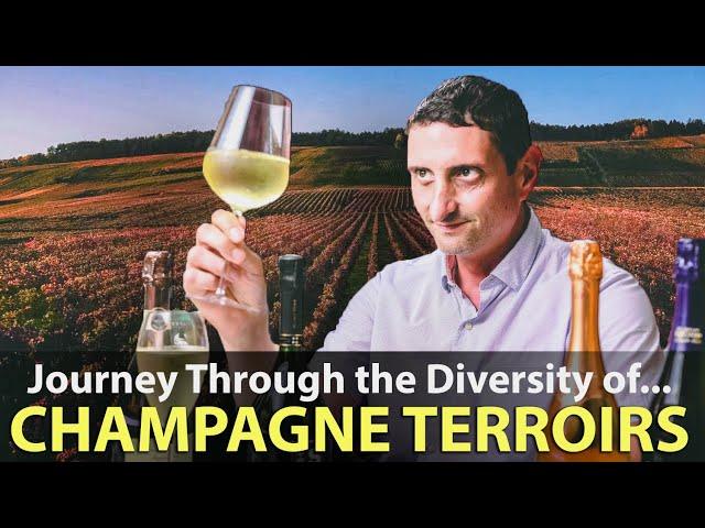 The Terroirs & Sub-Regions of Champagne