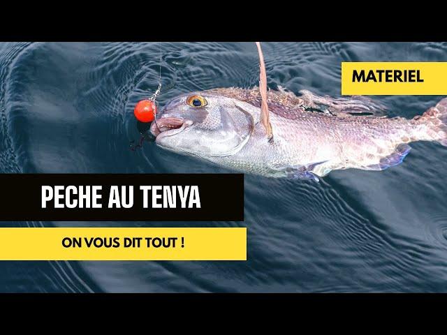 Pêche de la dorade et du pagre au Tenya : bien choisir son matériel.