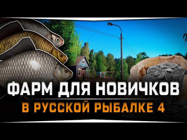 Как и где фармить новичку в Русской Рыбалке 4 на Комарином озере?