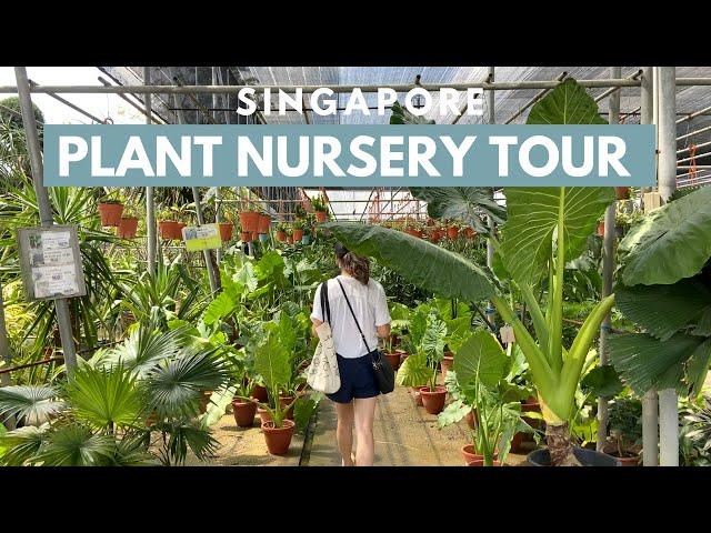 Singapore's World Farm Plant Nursery Tour | plant parenthood