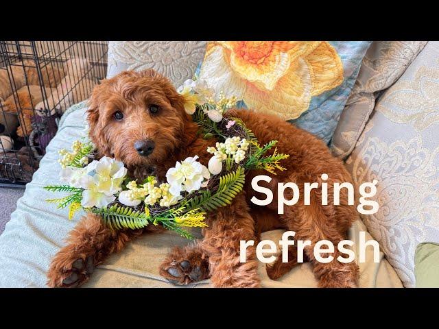 Spring refresh