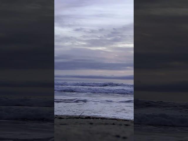 Viguen