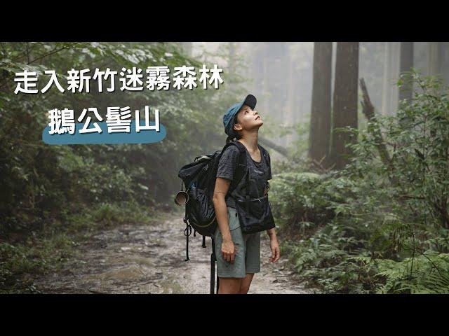 新竹縣鵝公髻山、台灣小百岳！帶爸媽爬山️森遊竹縣