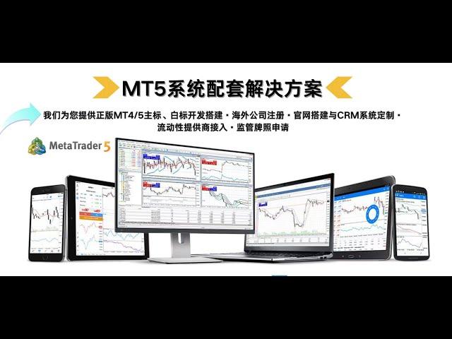 MT4/5外汇平台一站式搭建，奥兴科技全球老牌搭建商，安全可靠。全网最低价，不稳定不收费。