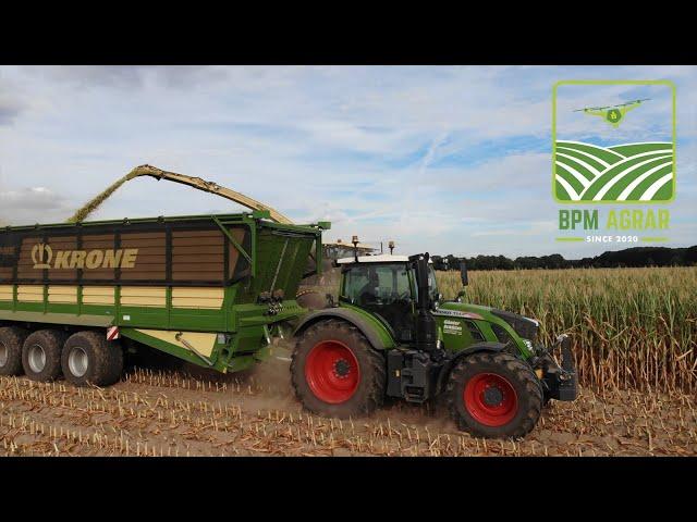 Vollgas im Mais || Krone Big X 1180 || Claas Xerion 4500 || Fendt 724 Vario