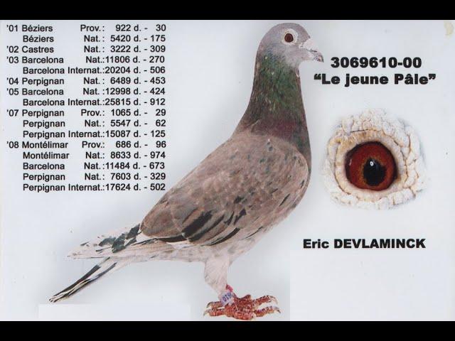 Pigeon-Master : Eric Devlaminck, légende du grand fond (with english subtitles)