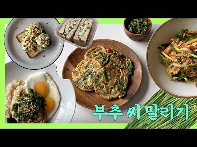 -22kg 포만감 짱짱! 밥, 빵, 면, 전까지 다~ 먹는 디디미니표 부추 다이어트 레시피 모음