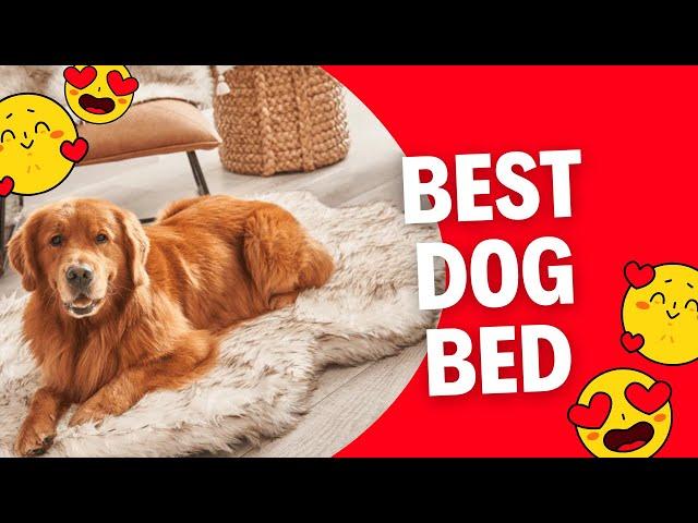 Best dog bed - Orthopedic Dog Bed