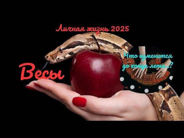 ️️ВЕСЫ️ЛИЧНАЯ ЖИЗНЬ ДО КОНЦА ЛЕТАКАК ИЗМЕНИТСЯ ВАША ЖИЗНЬ..? ПЕРЕМЕНЫПРОГНОЗ Tarò Ispirazione