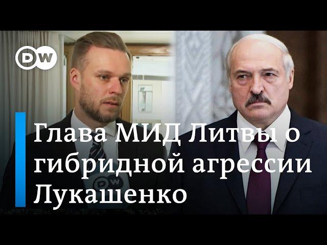 Гибридное оружие Лукашенко: сможет ли забор на границе Литвы перекрыть поток нелегальных мигрантов?