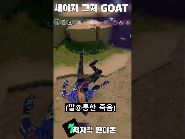 방송인이라고 의심하는 귀여운 잼미니