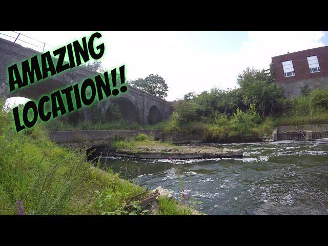 Smallmouth Bass LOVE the Zman Micro Chatterbait in the Great Miami River, Ohio (surprise fish catch)