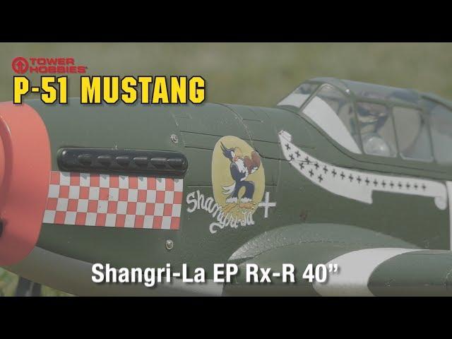 Tower Hobbies P-51B Mustang Shangri-La EP Rx-R