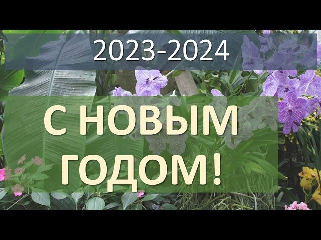 С Новым 2024 Годом!