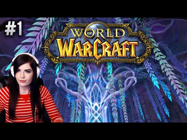 World of Warcraft (Part 1)  Learning World of Warcraft in 2017